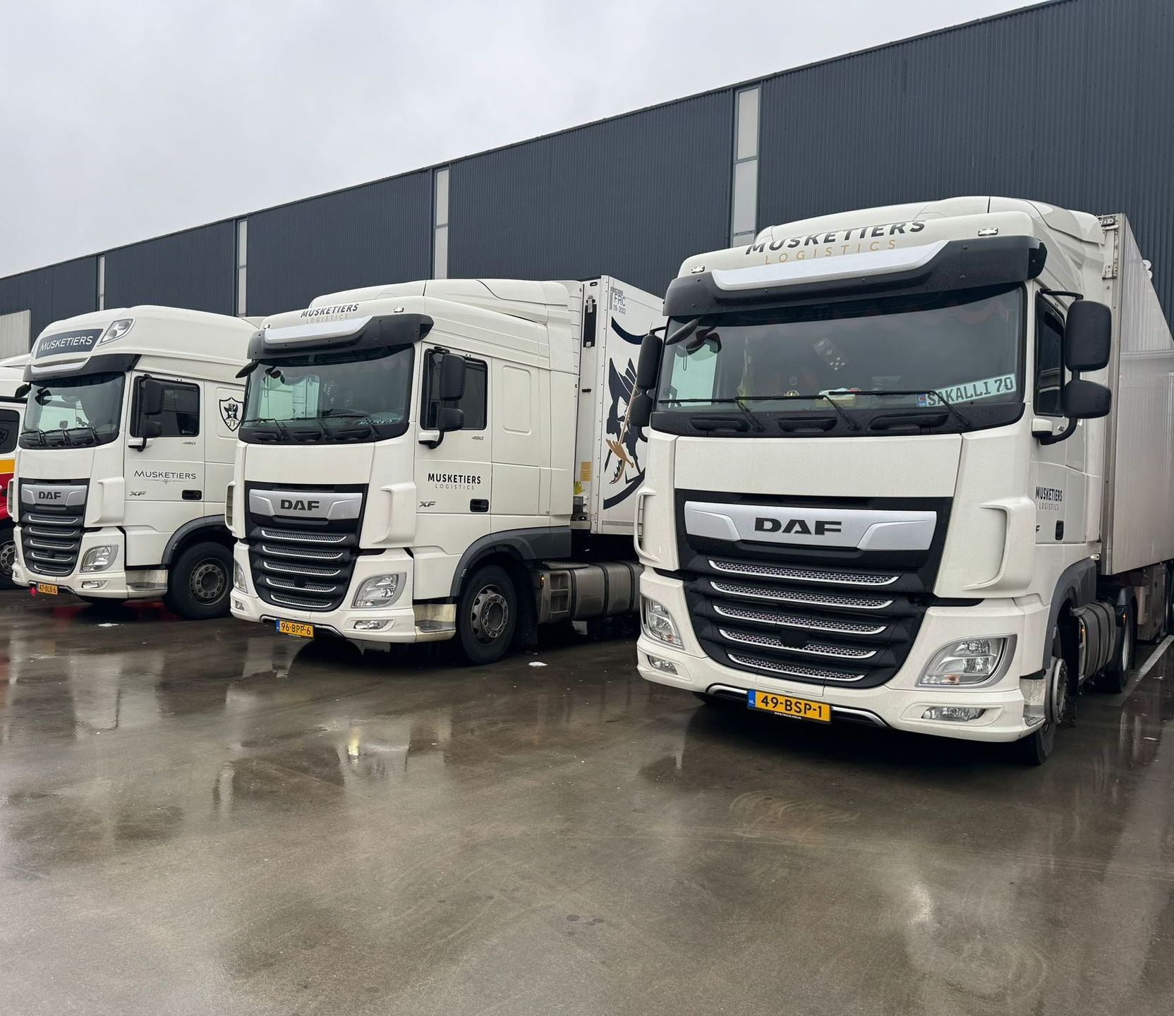 DAF-trekkers van Musketiers Logistics naast elkaar op het terrein